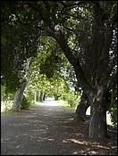 LosGatosTrail08-049c.jpg