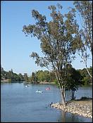 Vasona08-076b.jpg