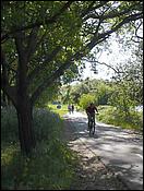 Vasona08-093c.jpg