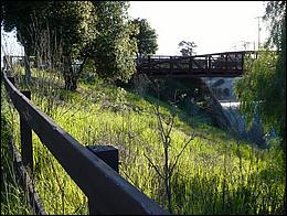 LosGatosTrail09-146b.jpg