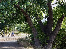 LosGatosTrail09-205c.jpg