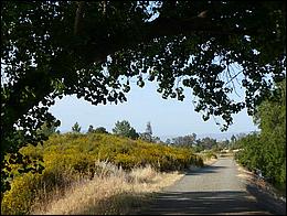 LosGatosTrail09-213c.jpg