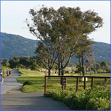 LosGatosTrail10-204b.jpg