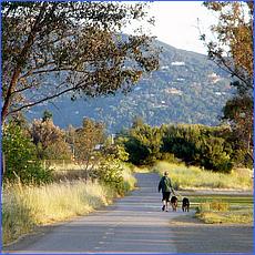 LosGatosTrail10-272ab.jpg