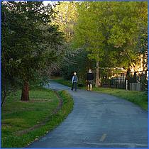 LosGatosTrail12-070-web.jpg