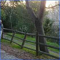 LosGatosTrail12-084-web.jpg