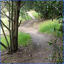 LosGatosTrail12-117-web.jpg