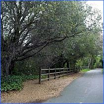 LosGatosTrail12-129-web.jpg