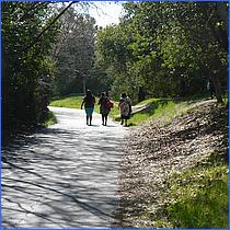 LosGatosTrail12-144-web.jpg