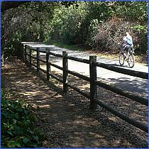 LosGatosTrail12-153c1-web.jpg