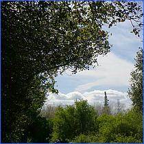 LosGatosTrail12-197a2-web.jpg