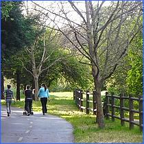 LosGatosTrail12-423-web.jpg