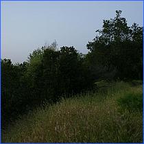 LosGatosTrail12-456-web.jpg