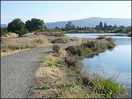 LosGatosTrail09-395b.jpg