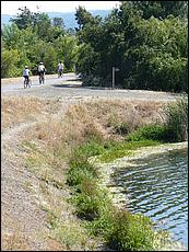 LosGatosTrail09-502b.jpg