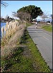 LosGatosTrail06-018b.jpg