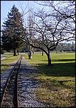 OakMeadow06-3trees-tracks-076b.jpg