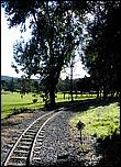 OakMeadow06-tracks-042b.jpg