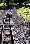 OakMeadow06-tracks-054b.jpg