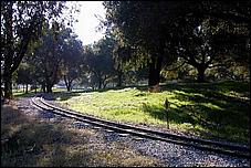 OakMeadow06-tracks-069b.jpg