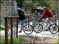 OakMeadow06-trainbr-249b.jpg