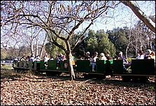 OakMeadow06-trainc-068b.jpg