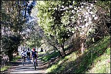 Vasona06-029b.jpg