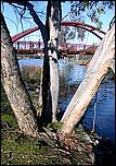 Vasona06-bridge-003b.jpg