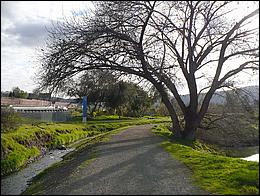 LosGatosTrail09-020c.jpg