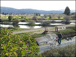 LosGatosTrail09-030b.jpg