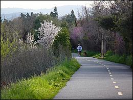 LosGatosTrail09-061b.jpg