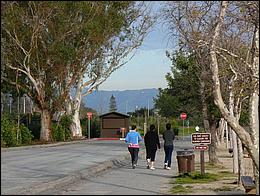 LosGatosTrail09-082b.jpg