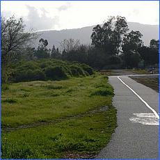 LosGatosTrail10-048b.jpg