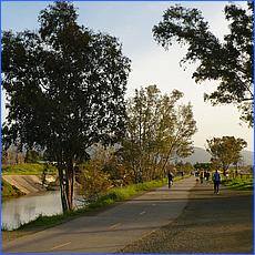 LosGatosTrail10-052b.jpg