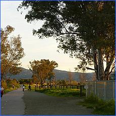 LosGatosTrail10-115b.jpg