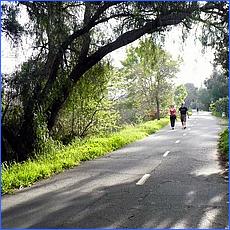 LosGatosTrail11-007a-web.jpg