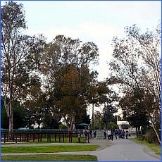 LosGatosTrail11-030a-web.jpg