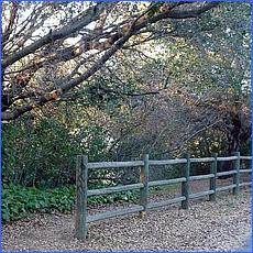 LosGatosTrail12-004a.jpg