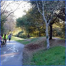 LosGatosTrail12-006a.jpg