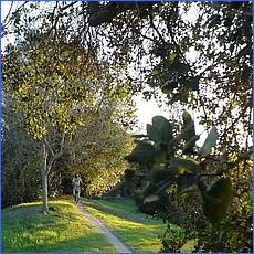 LosGatosTrail12-016a-web.jpg