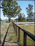 LosGatosTrail07-004b.jpg