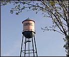 Campbell-01.jpg