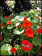 LosGatosTrail-001b.jpg