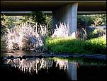 LosGatosTrail-004b.jpg