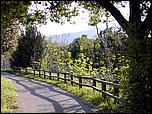 phloc05-13b.jpg