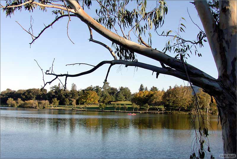 Vasona-023b.jpg-for personal use only