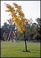 Vasona-067b.jpg