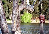 Vasona-259b.jpg