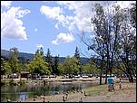 Vasona-281b.jpg