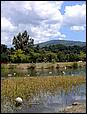 Vasona-284b.jpg
